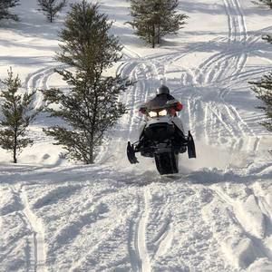 Meet your Posher, Tanner